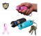 SMART Keychain Stun Gun with Light